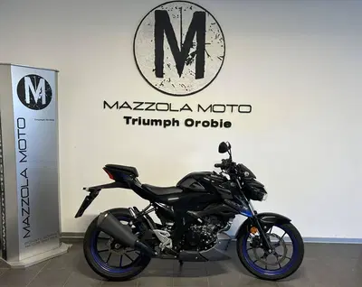 Suzuki GSX-S125 (2022 - 24) usata
