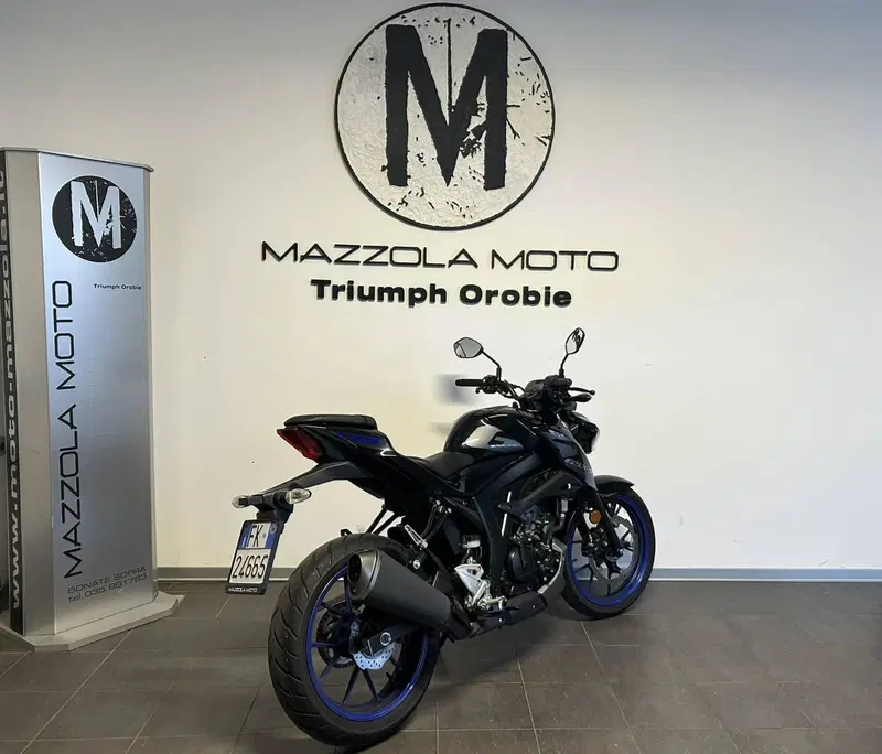 Suzuki GSX-S125 (2022 - 24) (2)