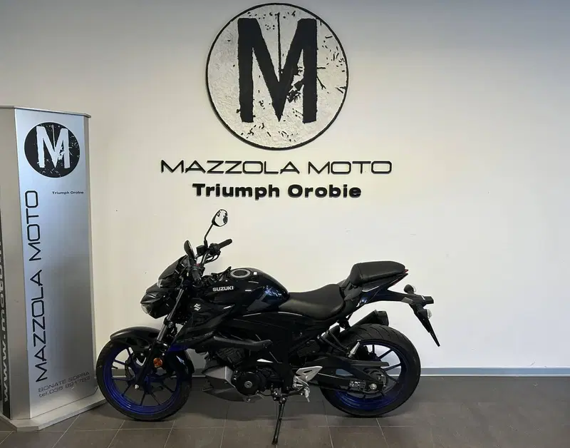Suzuki GSX-S125 (2022 - 24) (3)