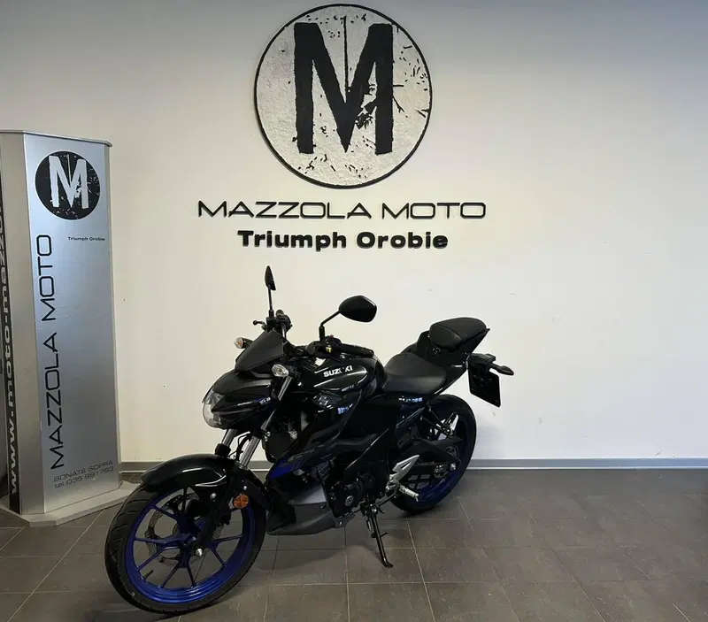 Suzuki GSX-S125 (2022 - 24) (4)