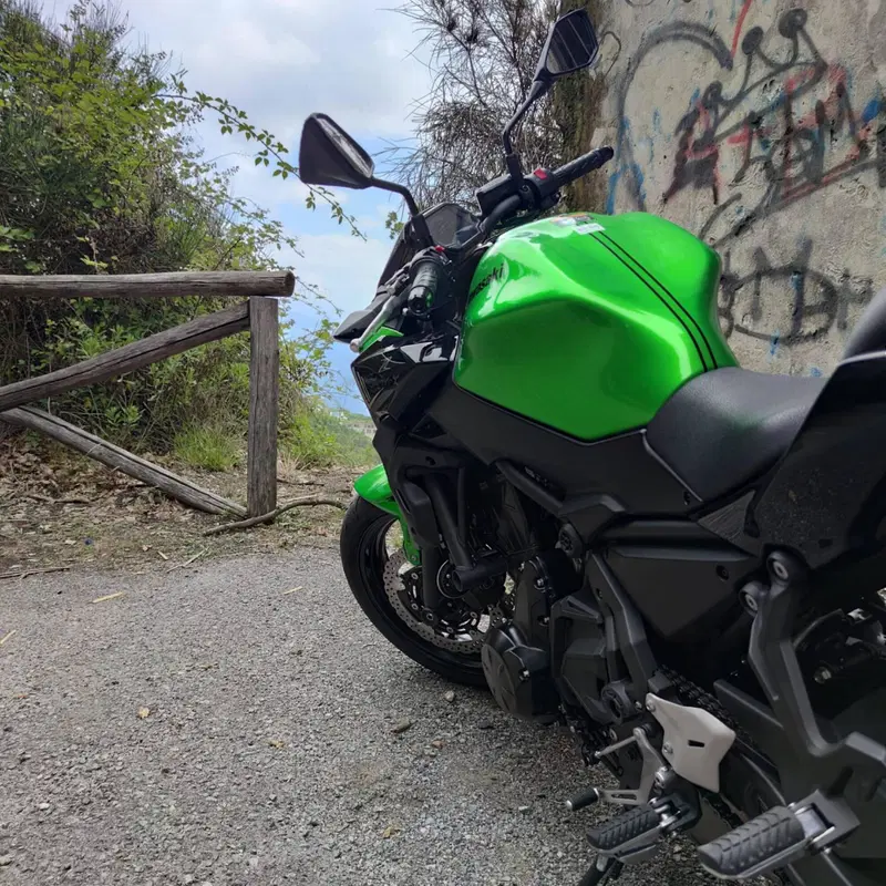 Kawasaki Z 650 (2021 - 24)