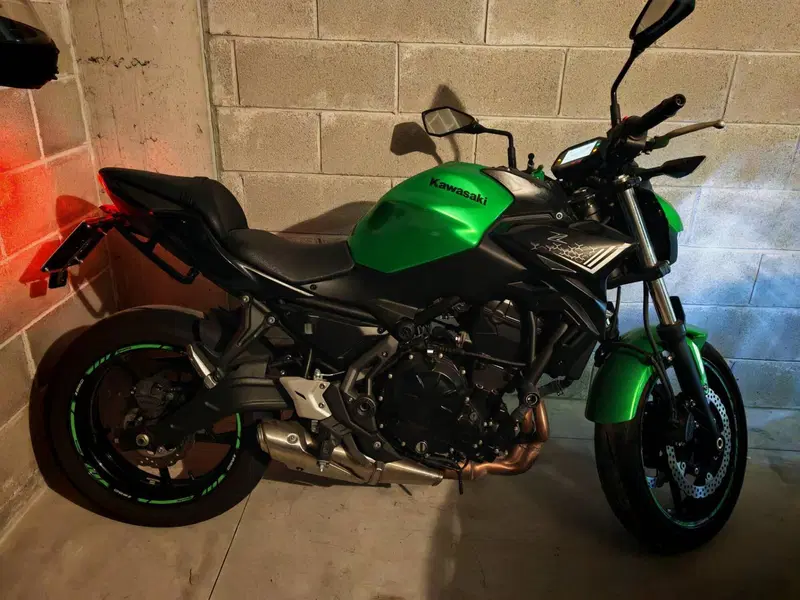 Kawasaki Z 650 (2021 - 24) (2)
