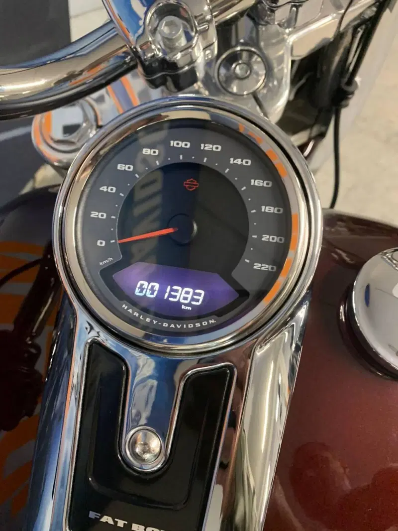 Harley-Davidson Fat Boy 114 (2021 - 24) (7)