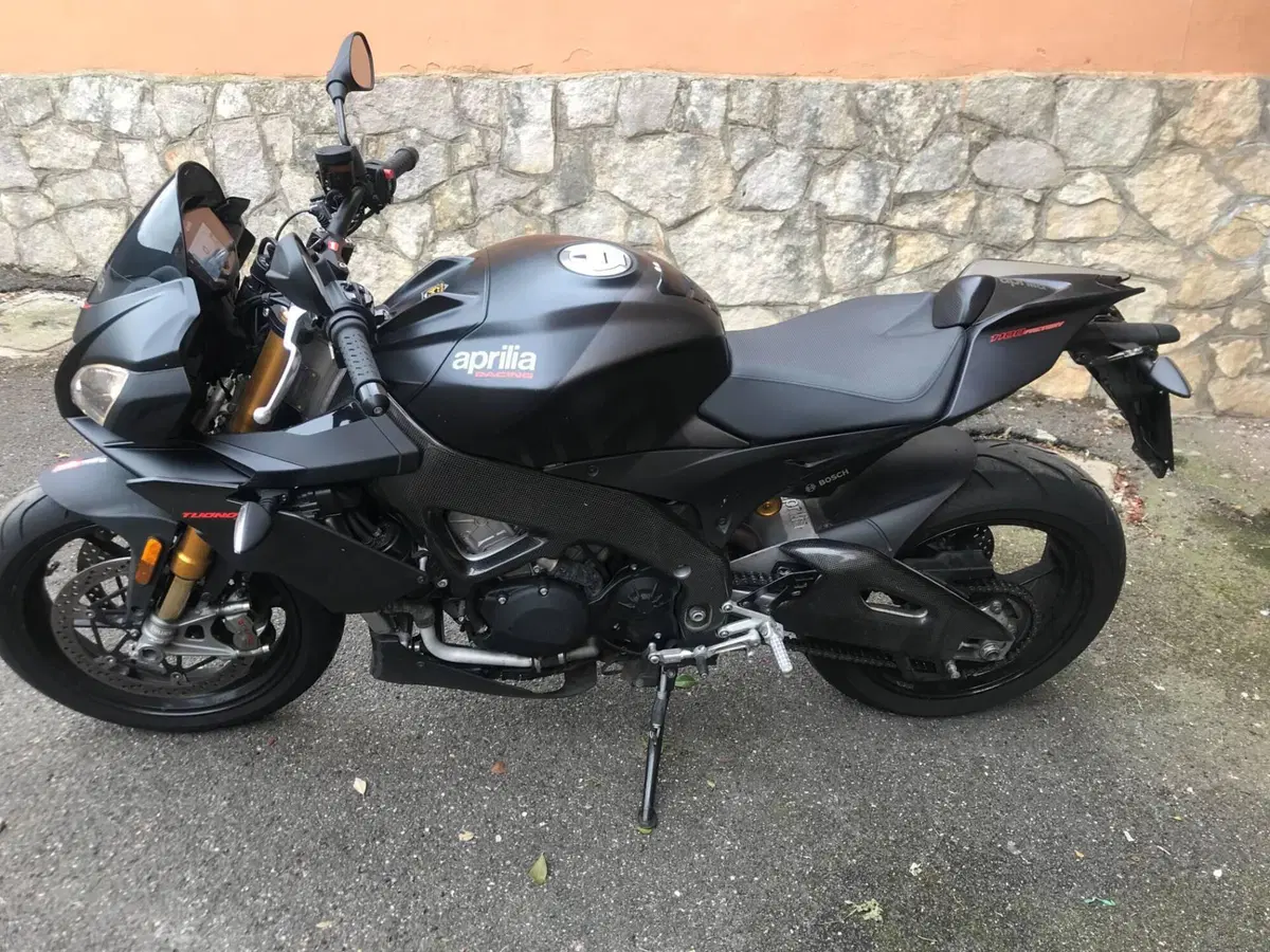 Aprilia Tuono V4 Factory (2019 - 20) (4)