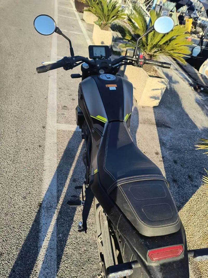 Benelli Leoncino 250 (2021 - 25) (4)