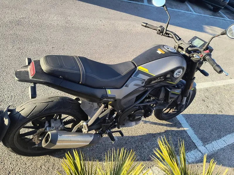 Benelli Leoncino 250 (2021 - 25) (6)