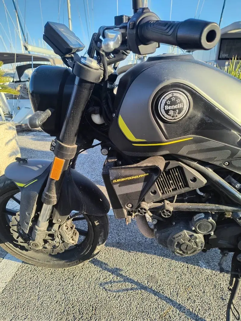 Benelli Leoncino 250 (2021 - 25) (9)