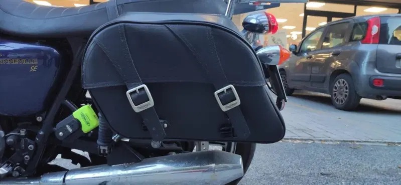 Triumph Bonneville SE (2009 - 13) (6)
