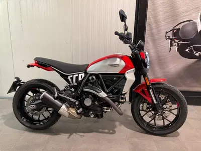 Ducati Scrambler 800 Icon (2023 - 24) usata