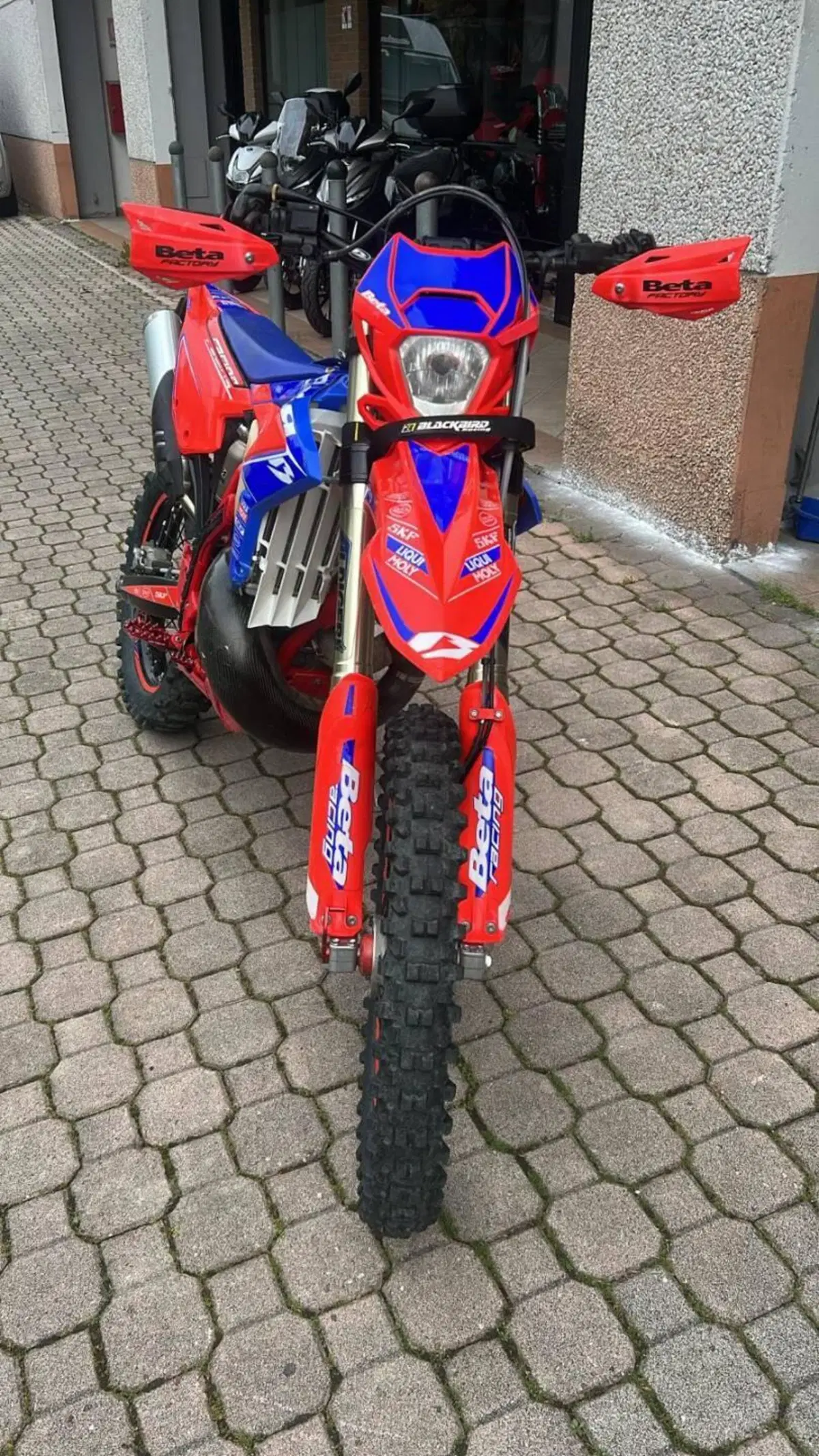 Betamotor RR 300 2T Enduro Racing (2023) (2)