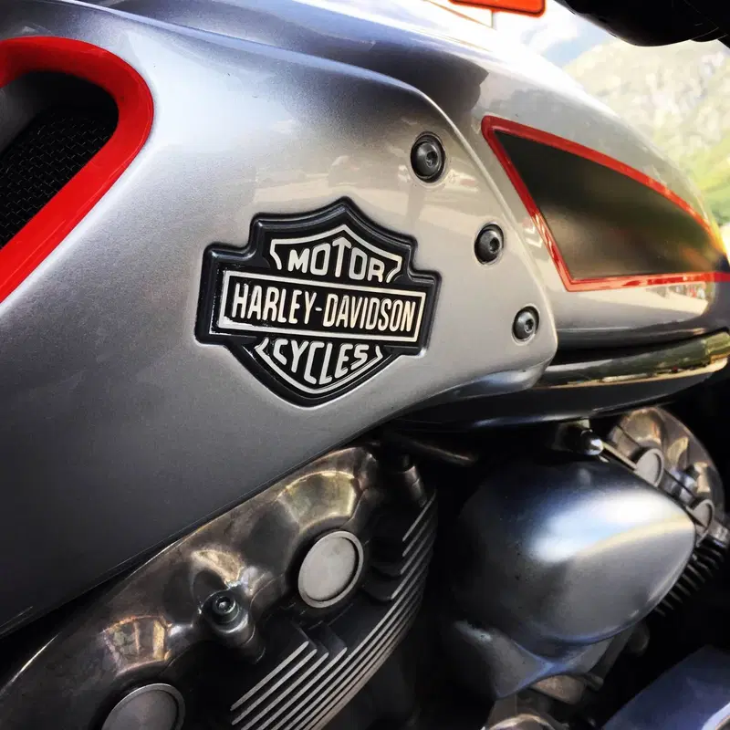 Harley-Davidson 1250 V-Rod Muscle (2009 - 17) - VRSCF (2)