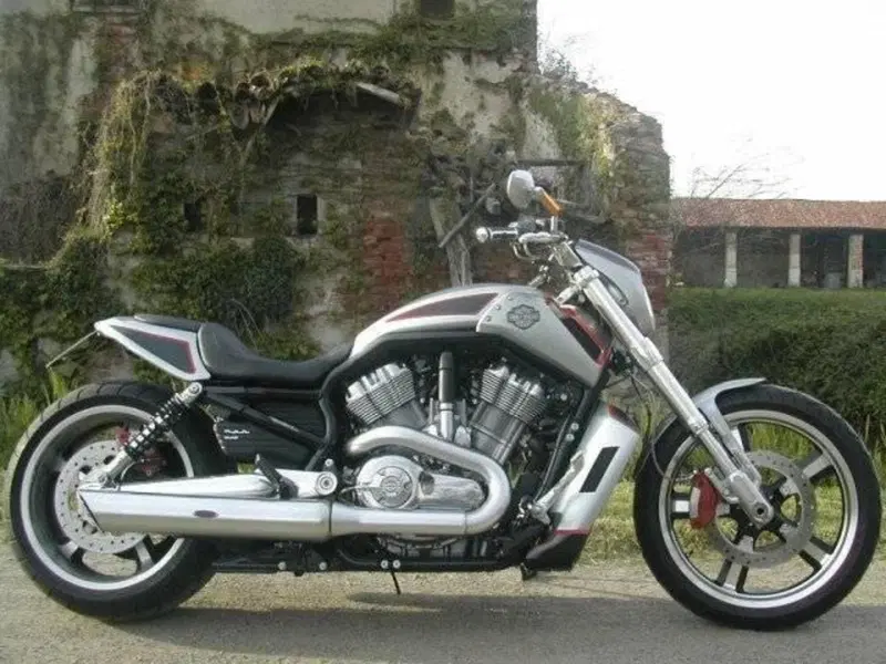 Harley-Davidson 1250 V-Rod Muscle (2009 - 17) - VRSCF (3)