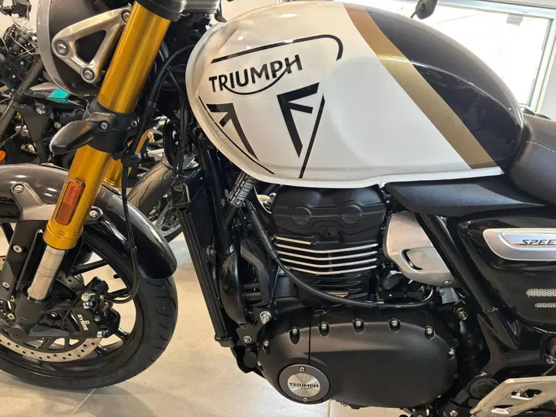 Triumph Speed 400 (2024 - 26) (7)