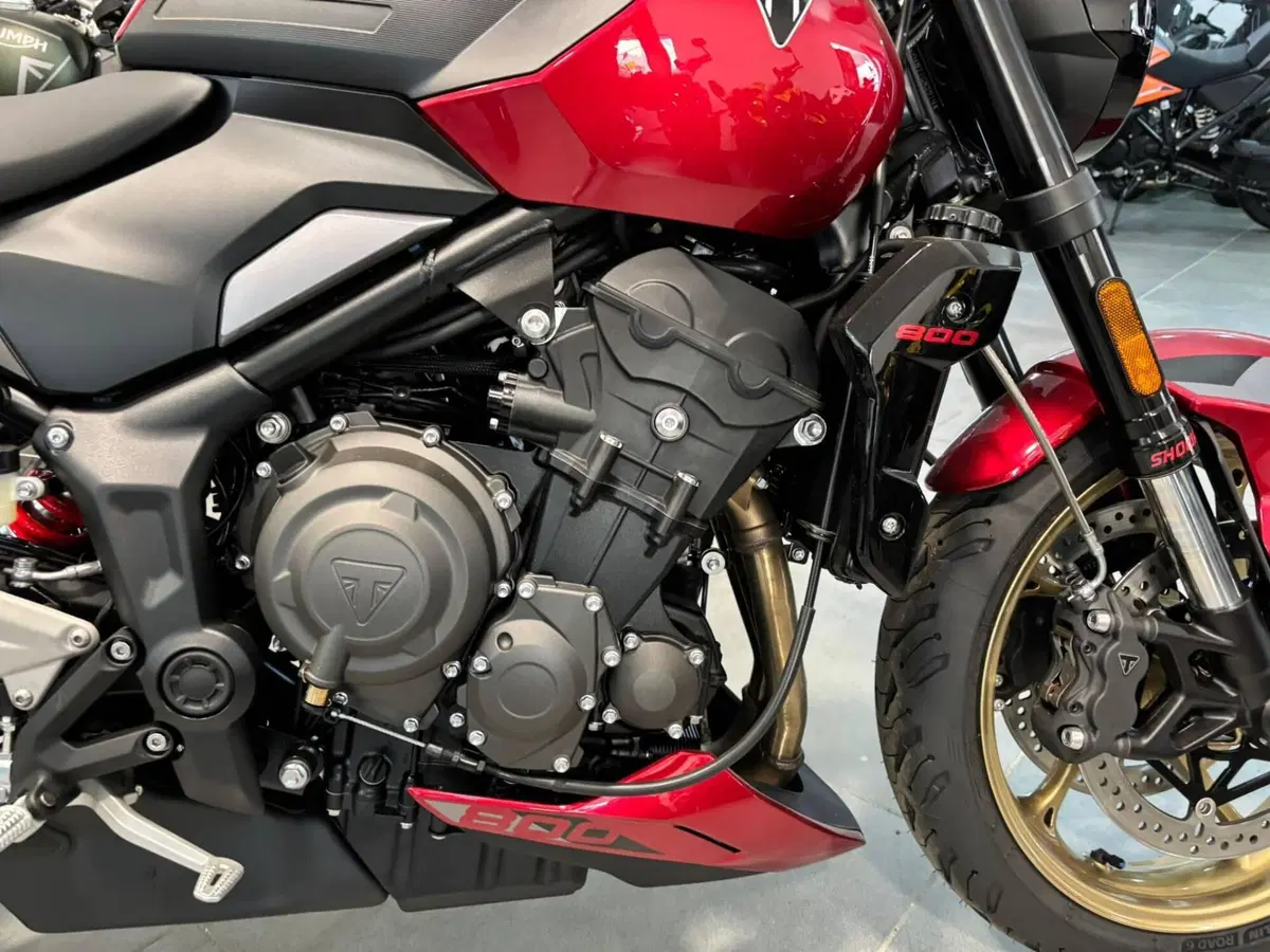 Triumph Trident 800 (2026) (8)