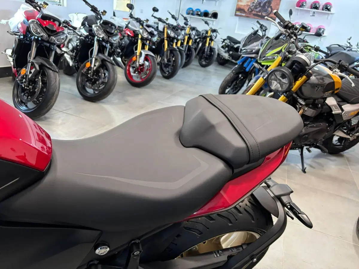 Triumph Trident 800 (2026) (9)