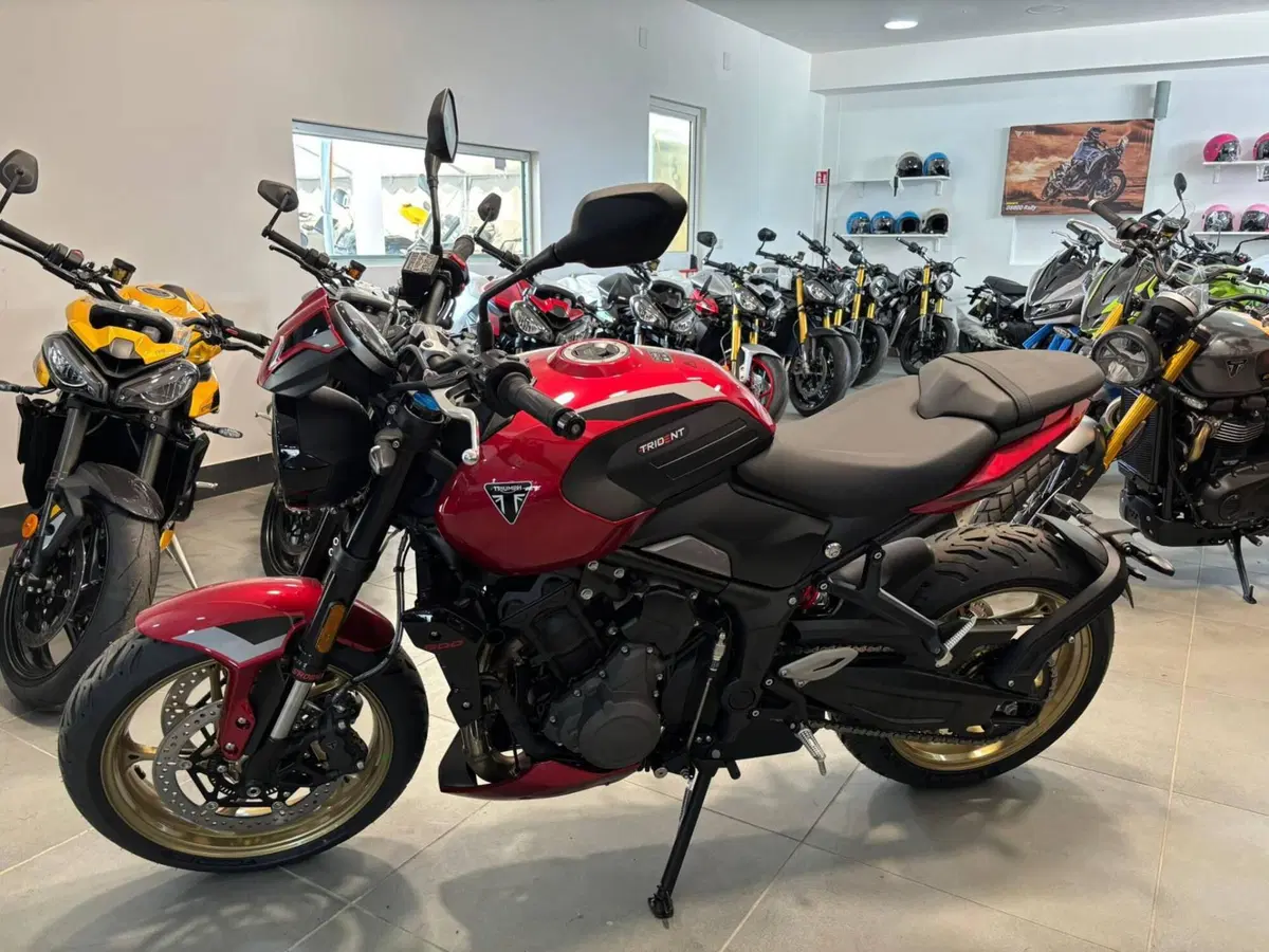 Triumph Trident 800 (2026) (3)