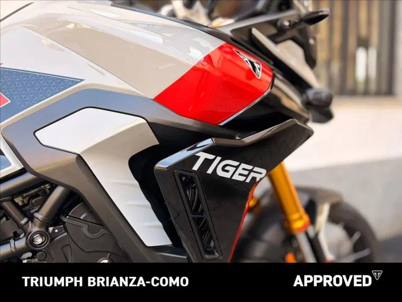 Triumph Tiger 900 Rally Pro (2024 - 26) (5)