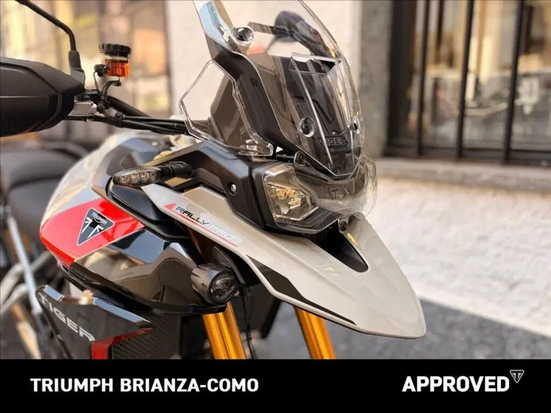 Triumph Tiger 900 Rally Pro (2024 - 26) (4)
