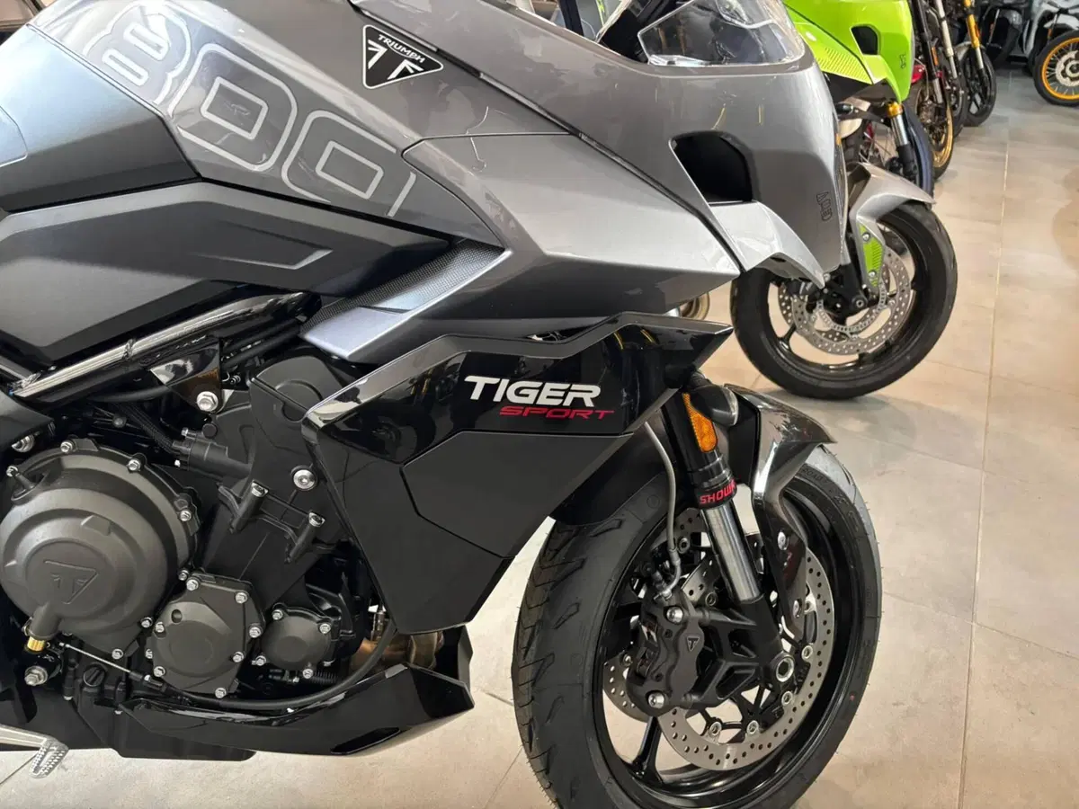 Triumph Tiger Sport 800 (2025 - 26) (4)