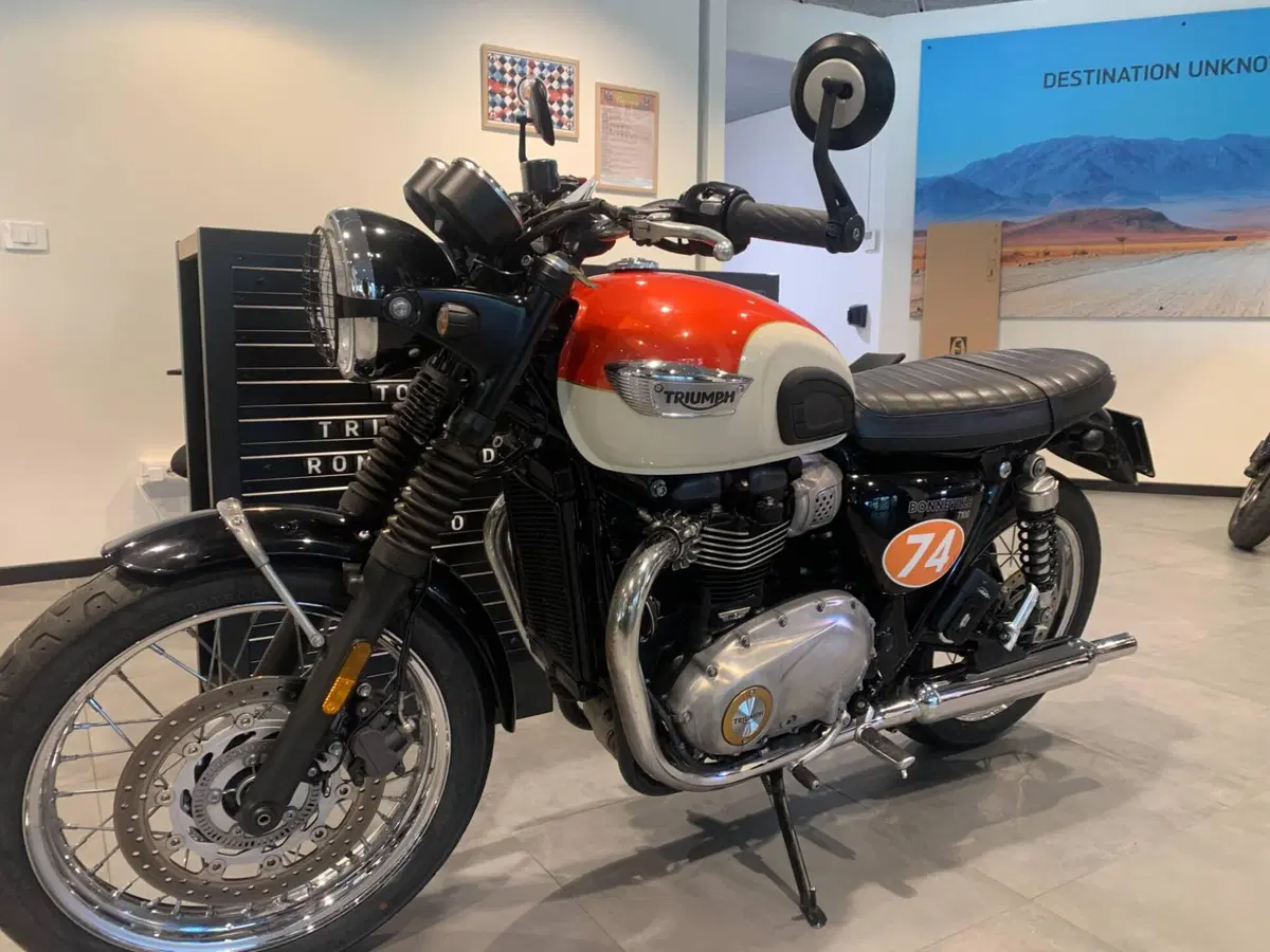 Triumph Bonneville T100 (2017 - 20) (3)