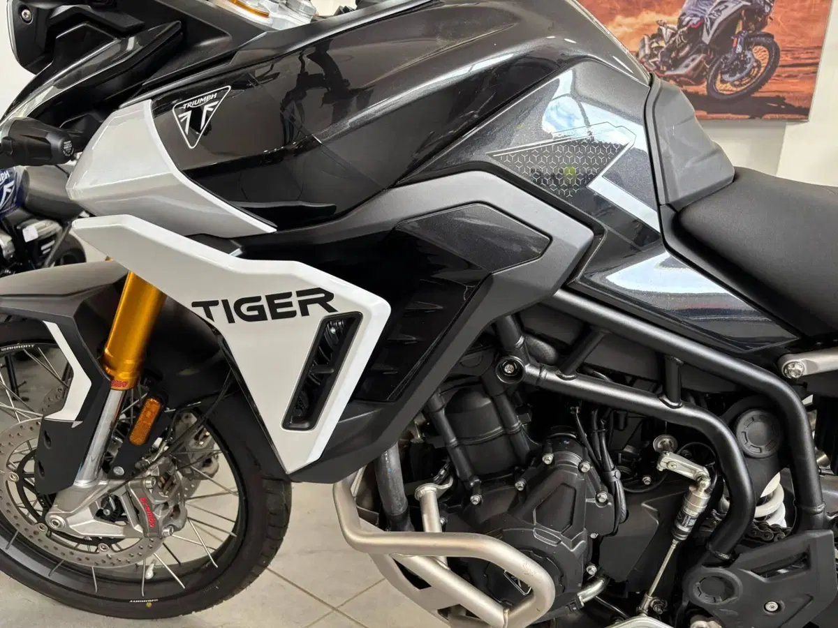 Triumph Tiger 900 Rally Pro (2024 - 26) (5)