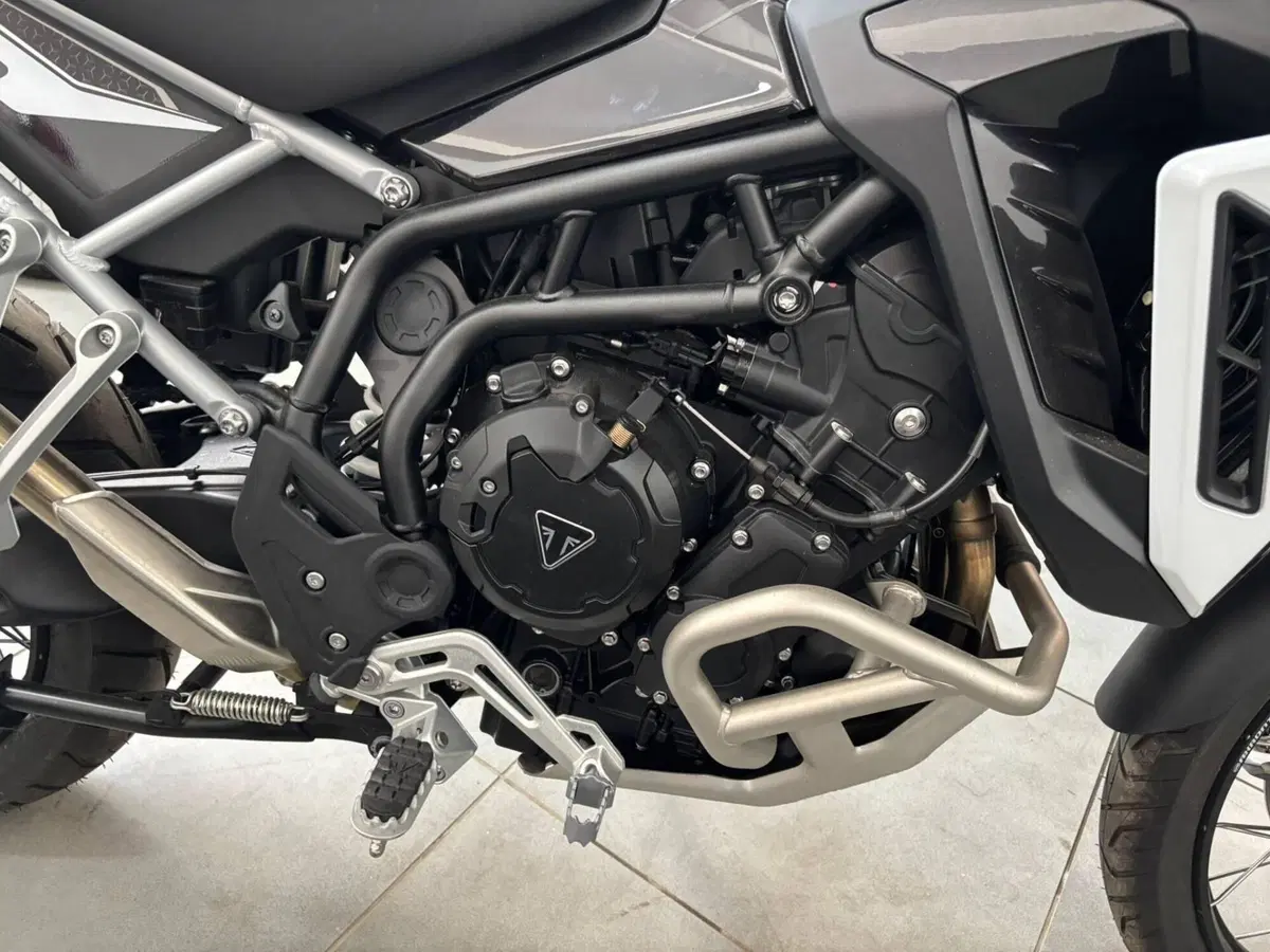 Triumph Tiger 900 Rally Pro (2024 - 26) (6)
