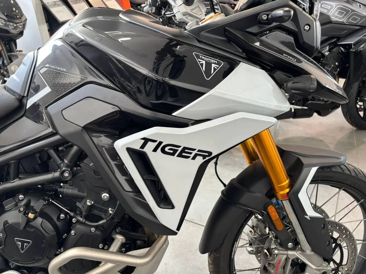 Triumph Tiger 900 Rally Pro (2024 - 26) (7)