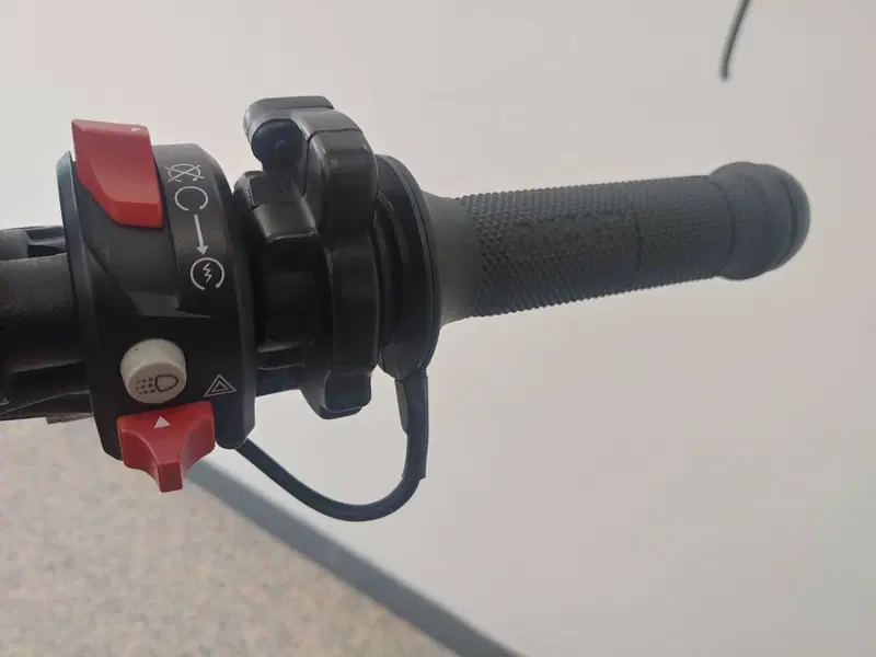 Ducati Scrambler 800 Icon (2021 - 22) (13)