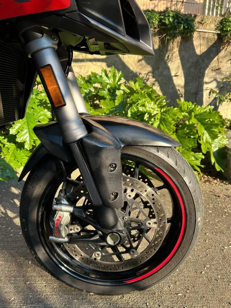 Ducati Multistrada 1260 S (2018 - 20) (6)