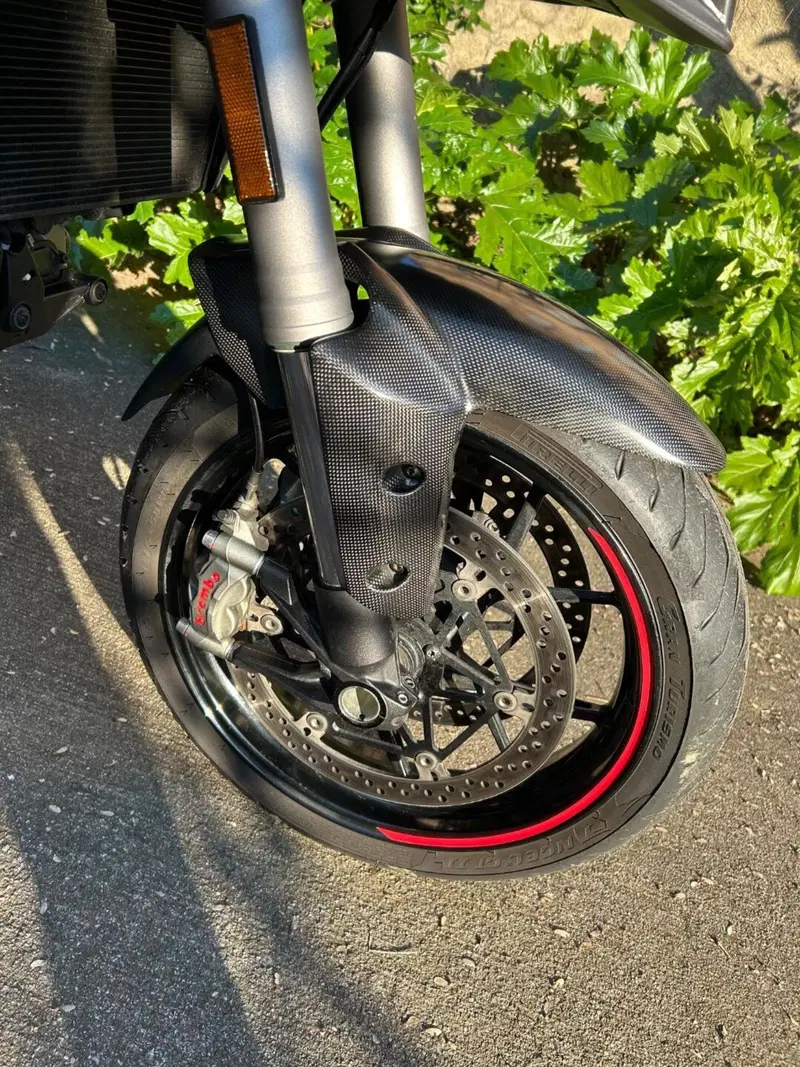 Ducati Multistrada 1260 S (2018 - 20) (14)