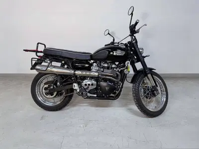 Triumph Scrambler (2006 - 17) usata