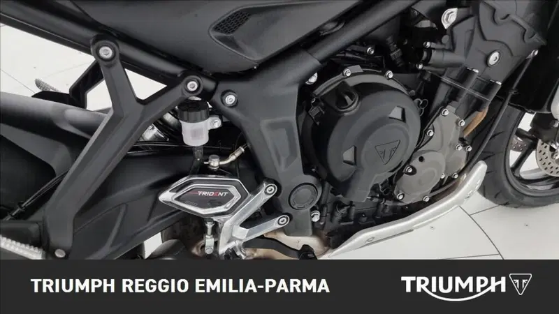Triumph Trident 660 (2021 - 24) (19)