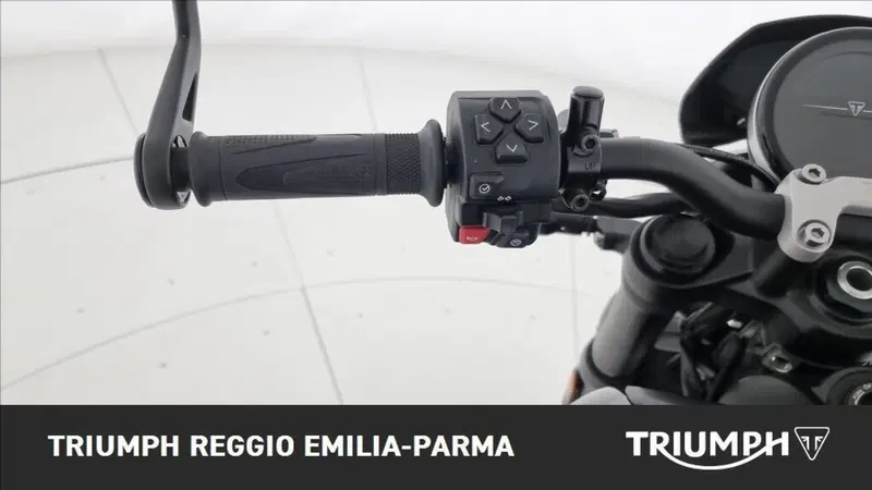 Triumph Trident 660 (2021 - 24) (11)