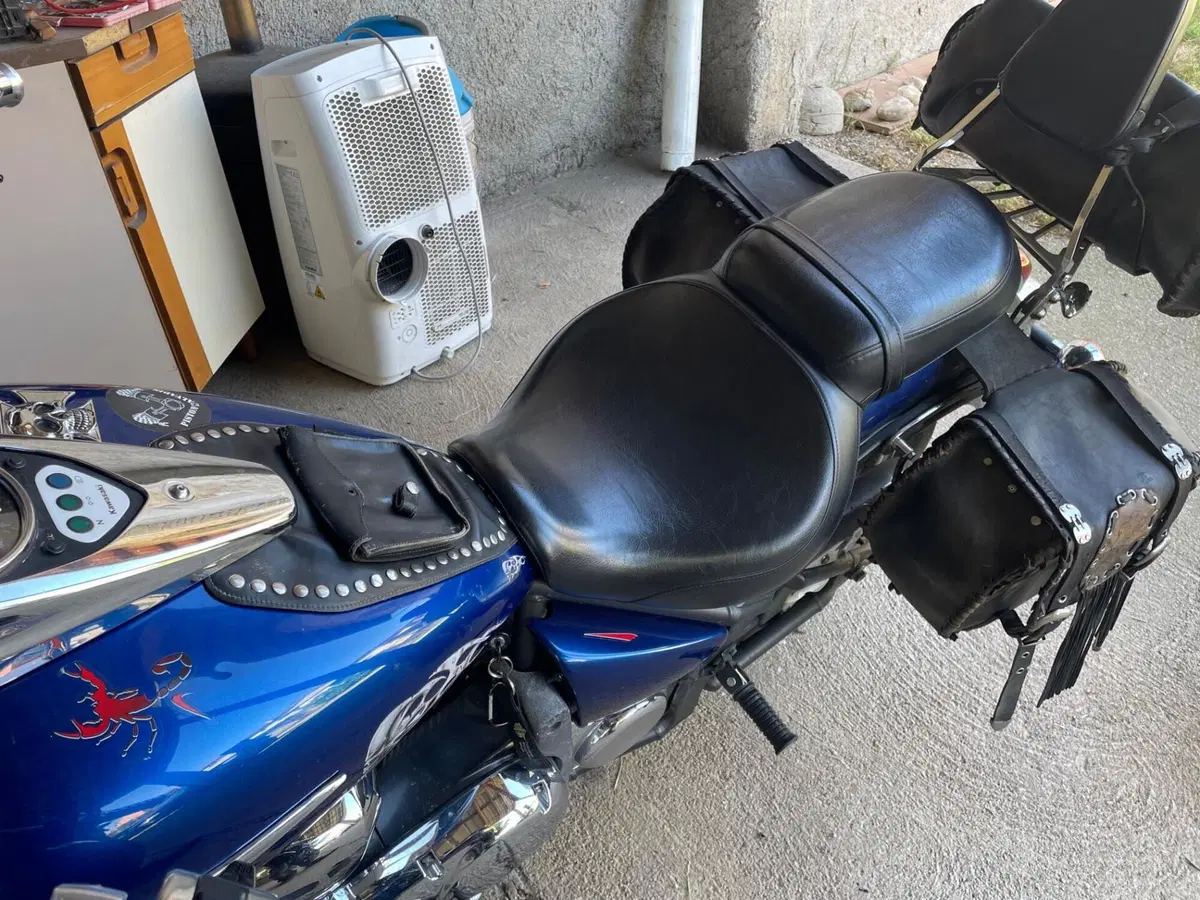 Kawasaki Vulcan VN 900 Classic (2006 - 10) (2)