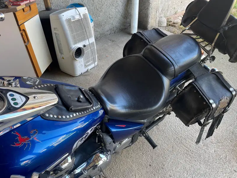 Kawasaki Vulcan VN 900 Classic (2006 - 10) (2)