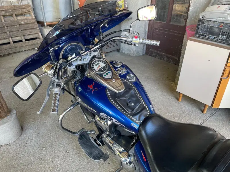 Kawasaki Vulcan VN 900 Classic (2006 - 10) (3)