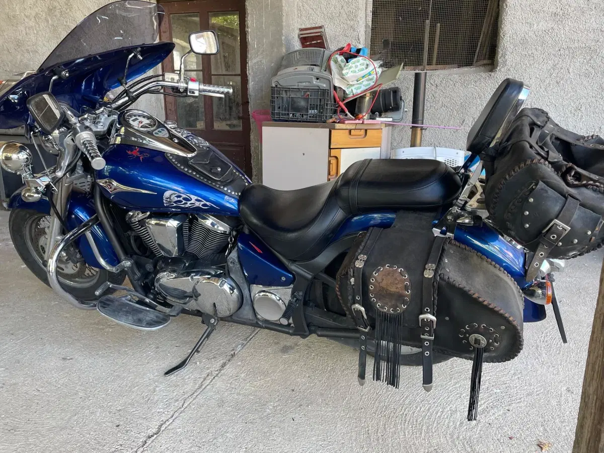 Kawasaki Vulcan VN 900 Classic (2006 - 10) (6)
