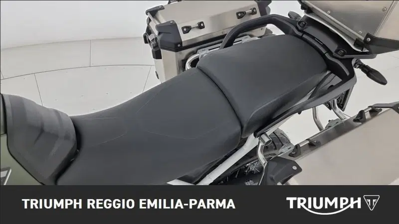 Triumph Tiger 900 Rally Pro (2020 - 23) (13)
