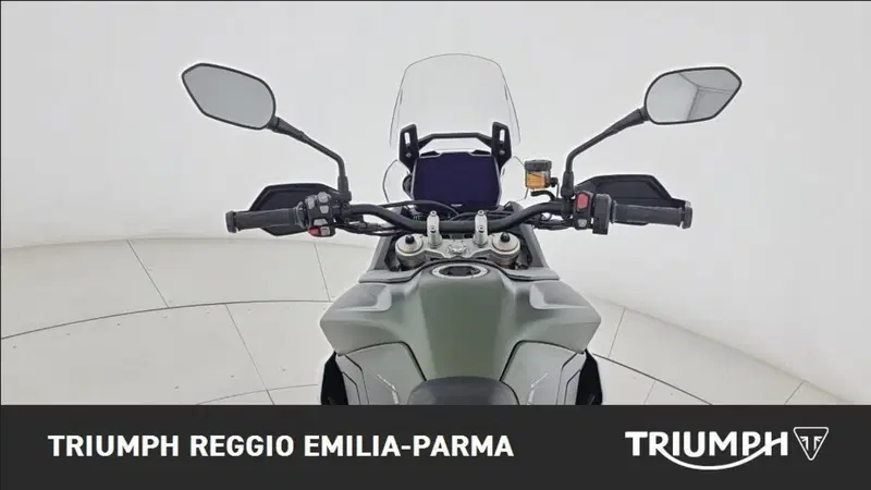 Triumph Tiger 900 Rally Pro (2020 - 23) (15)