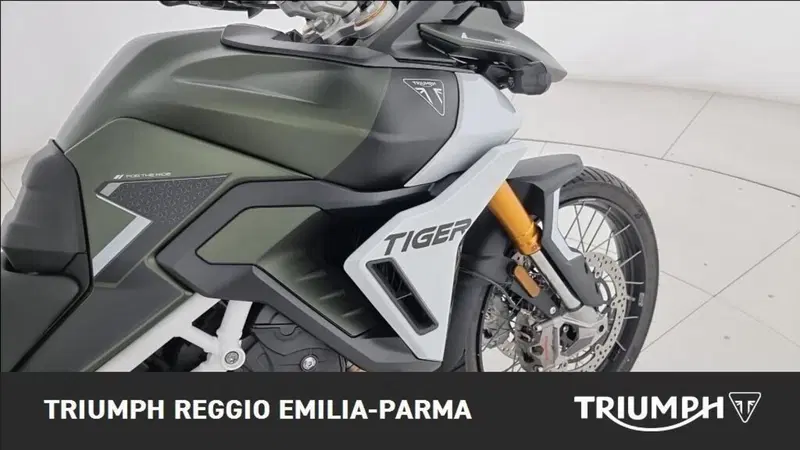 Triumph Tiger 900 Rally Pro (2020 - 23) (20)