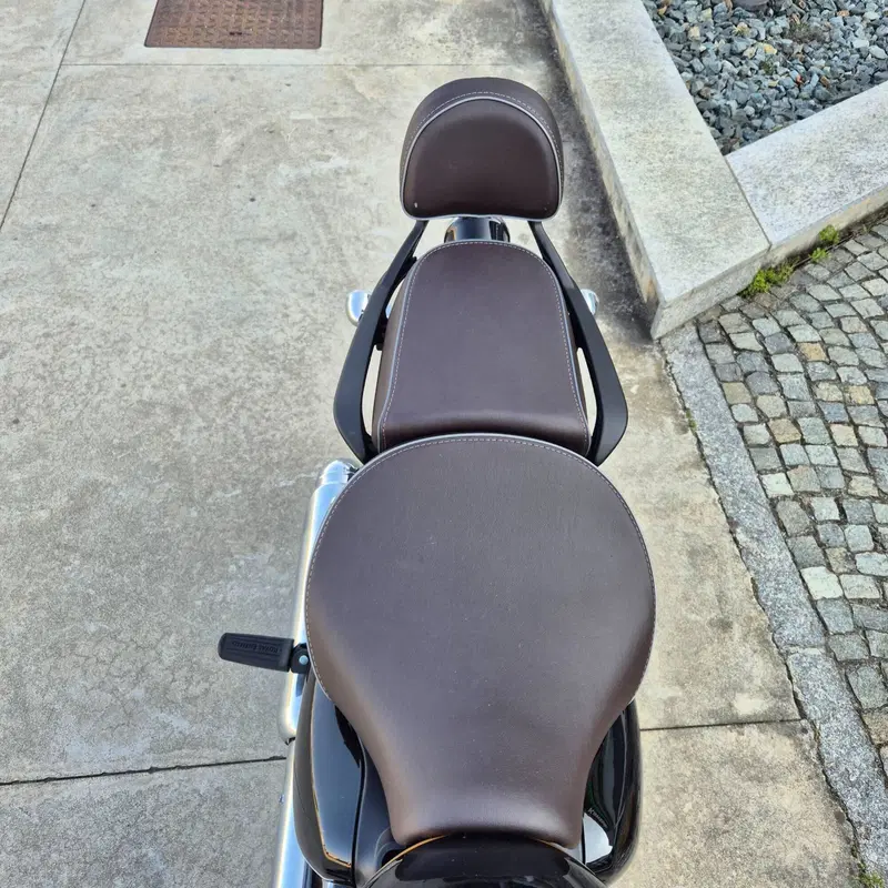 Royal Enfield Meteor 350 Aurora (2024 - 26) (8)