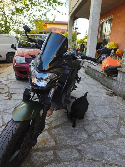 Kawasaki Z 650 (2017 - 19) usata