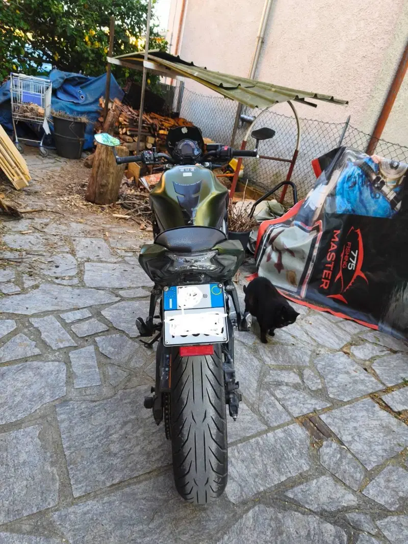 Kawasaki Z 650 (2017 - 19) (3)