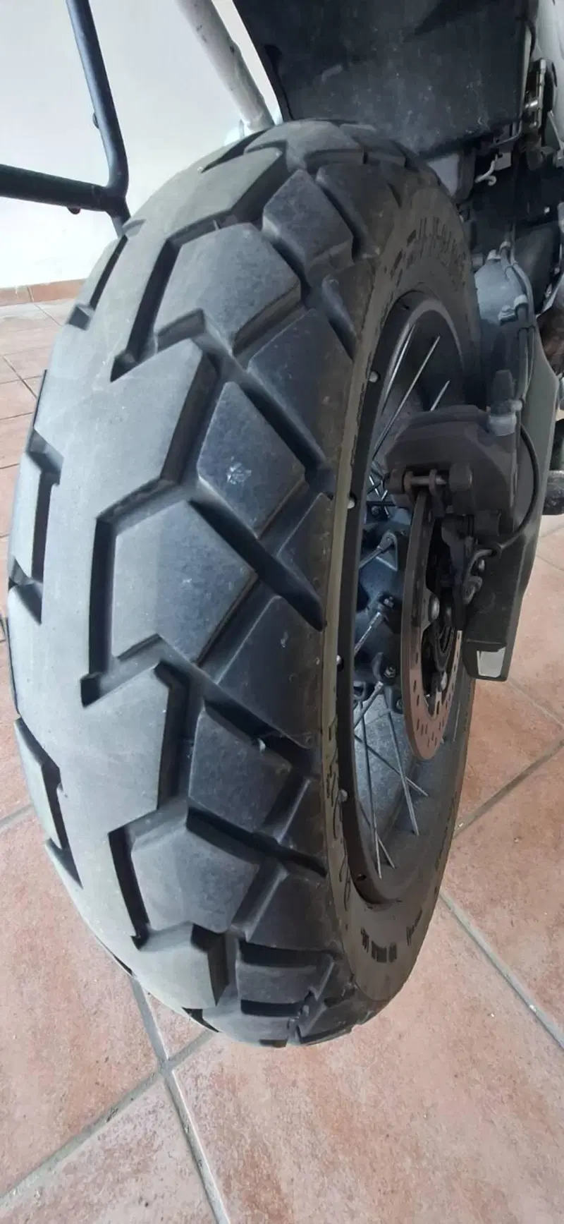 Triumph Tiger 900 Rally Pro (2024 - 26) (3)
