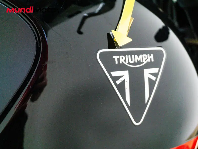 Triumph Trident 660 (2025) (13)