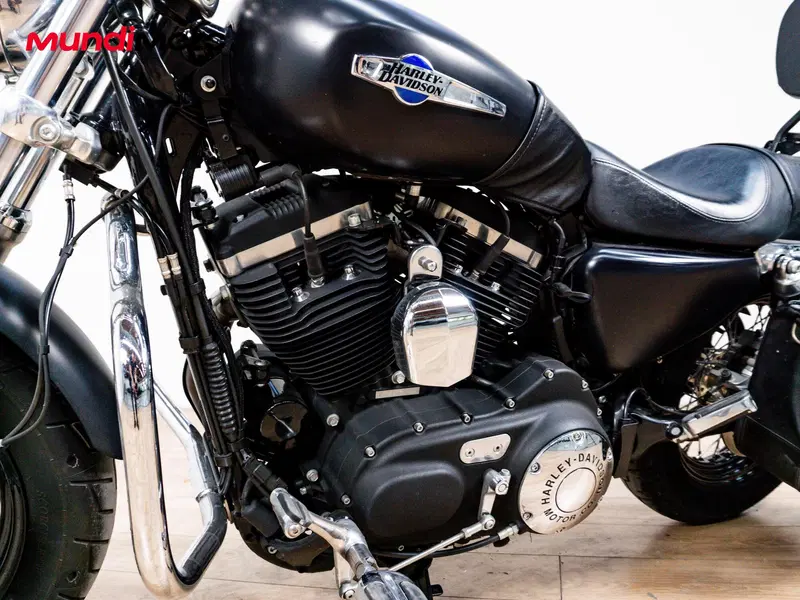 Harley-Davidson 1200 Custom ABS (2014 - 16) - XL 1200C (9)