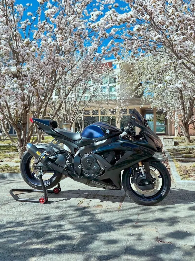 Suzuki GSX R 600 (2008 - 10)
