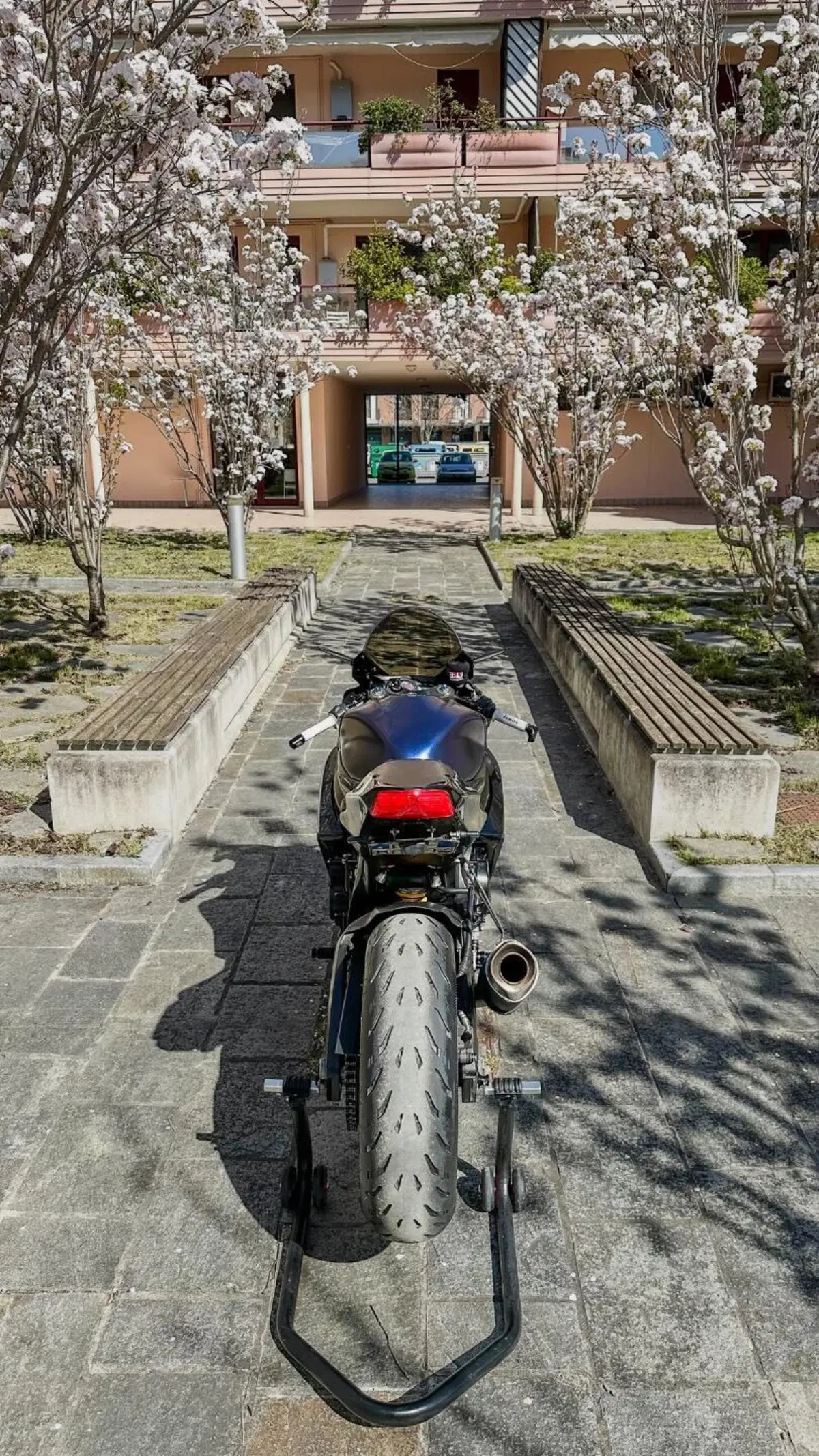 Suzuki GSX R 600 (2008 - 10) (4)