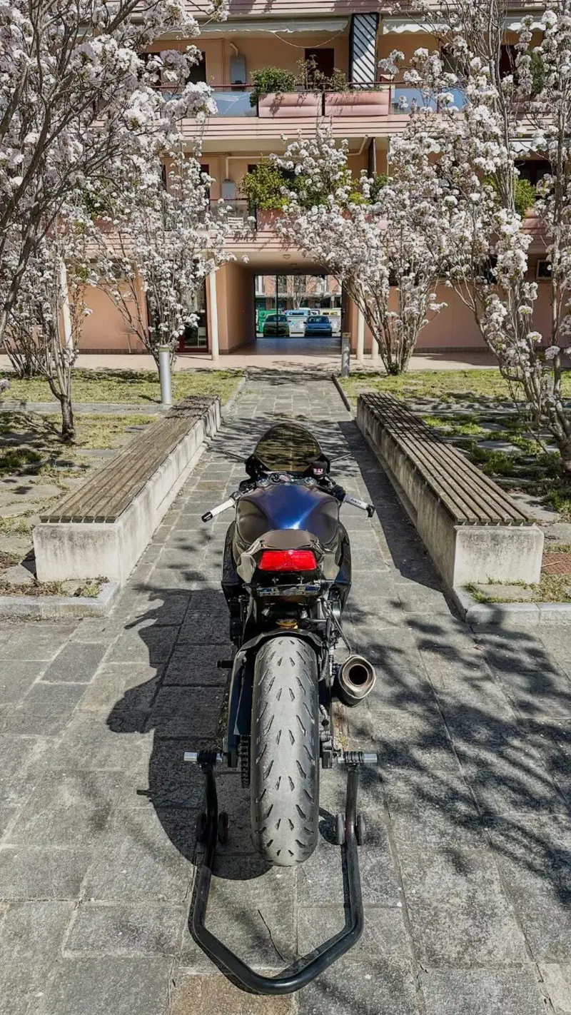 Suzuki GSX R 600 (2008 - 10) (4)