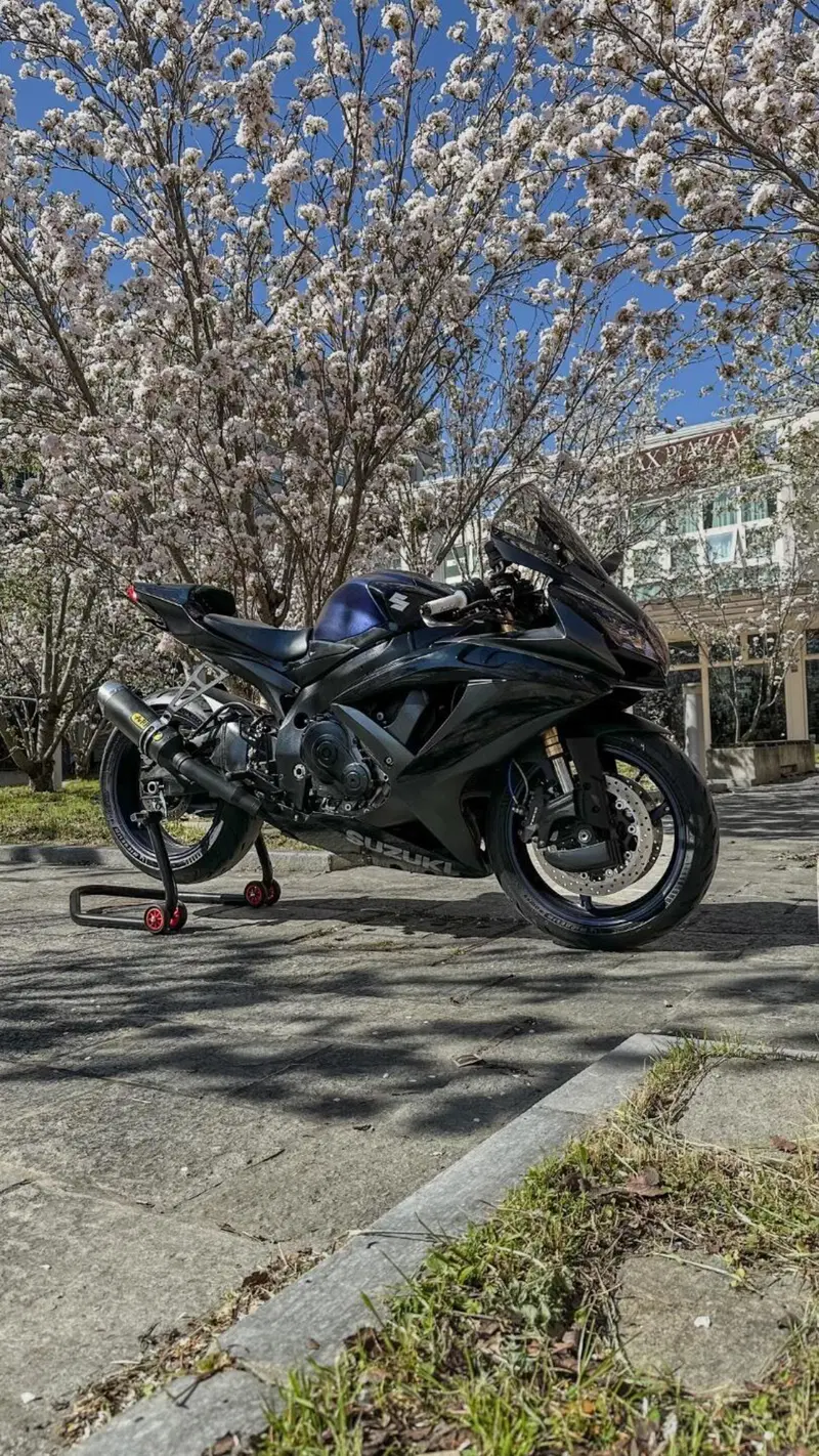 Suzuki GSX R 600 (2008 - 10) (2)